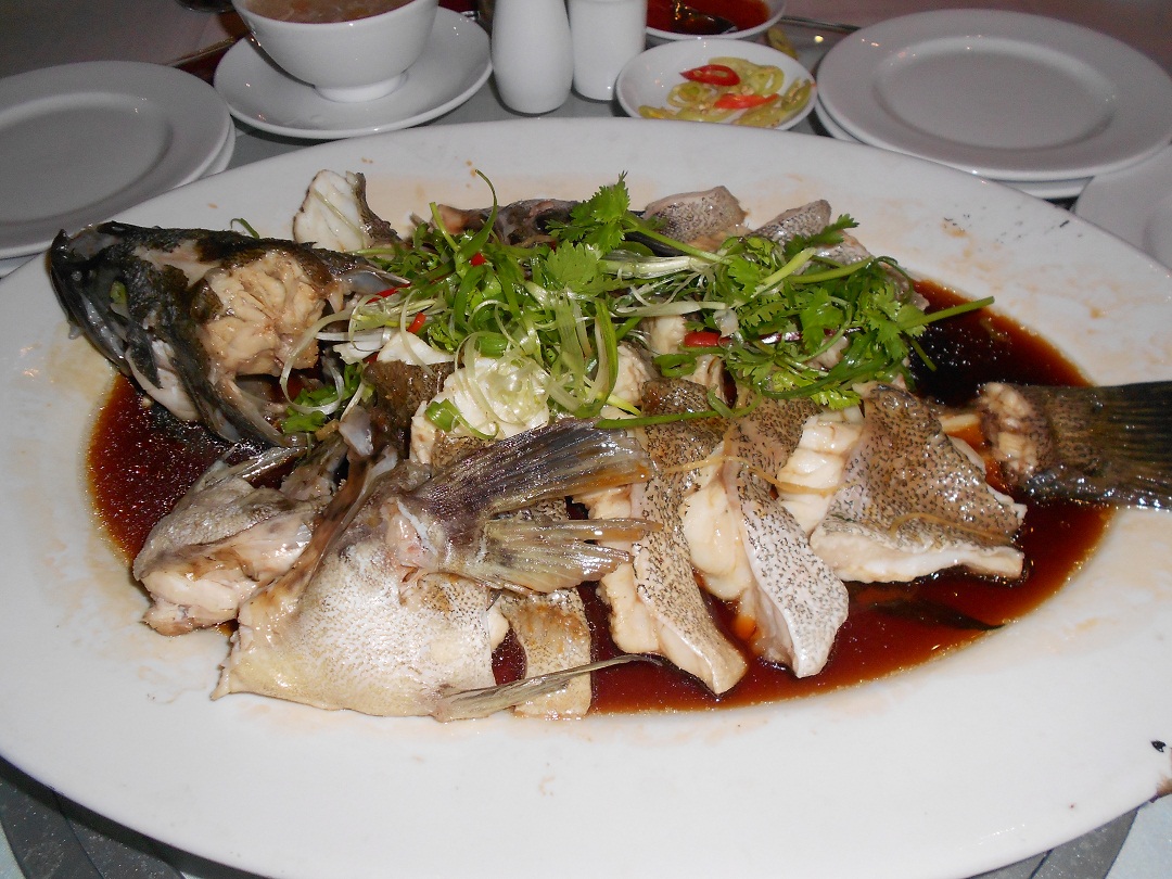 Nuôi cá bống tượng phục vụ cho các món ăn nhà hàng